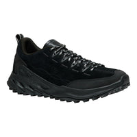 Black hiking shoe on a white background
