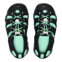 Pair of black and teal shoes on a white background