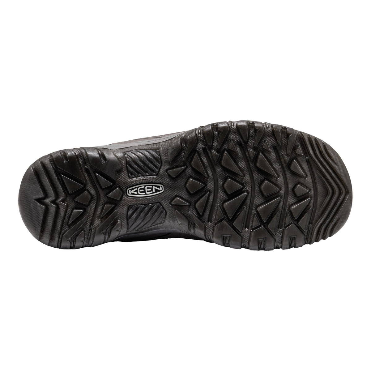 Men's Targhee IV Waterproof Boot Magnet/Black